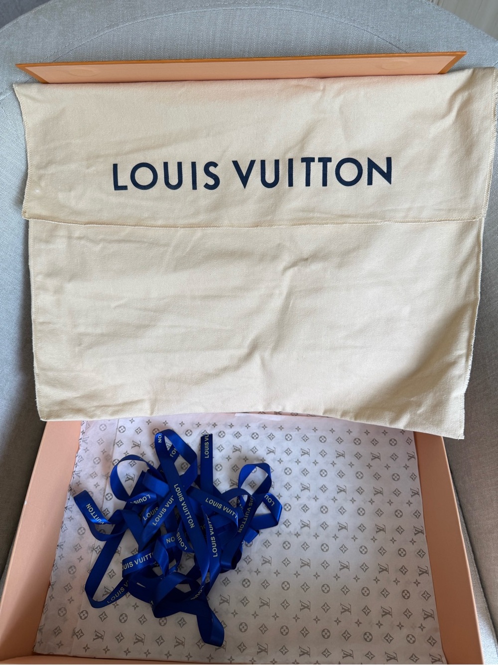 Louis Vuitton | Logo Bag - Picture 10 of 11